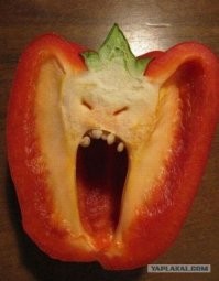 ОНИ повсюду: забавная парейдолия