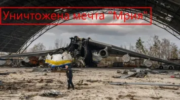 15 гигантов, размеры которых привели бы в восторг даже великанов