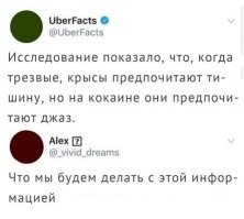 Рассыпьте кокаин в местах скопления крыс и включите,например,Dave Brubeck-Take Five.Крысы выйдут потанцевать и вы легко их поймаете.