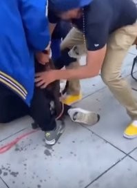 Яички сжимают людям, а тут палец в анус 146%