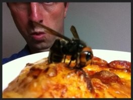 Топ 5 самых опасных насекомых в России