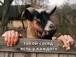 В нашем доме поселился замечательный сосед: всё о добрососедстве