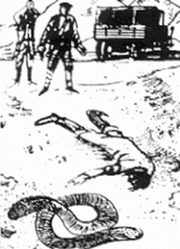 Олгой-хорхой: чудовище монгольских сказаний и легенд