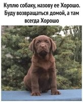 А именно этот и еще хорошо насрёт когда вернешься