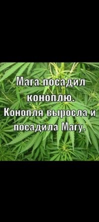 Смешные комментарии из&nbsp;социальных сетей-74