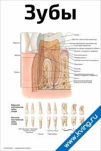 15 фотографий, которые расскажут больше чем энциклопедия