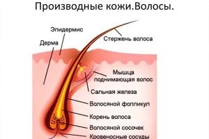 15 фотографий, которые расскажут больше чем энциклопедия