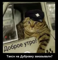 у вас ус отклеился