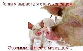 Скрины из соцсетей