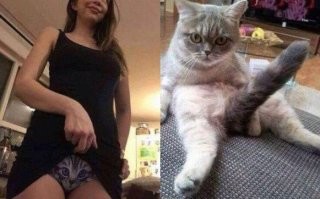 Забавные демотиваторы на злобу дня