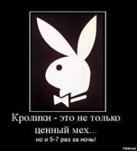 Самый кроличий пост