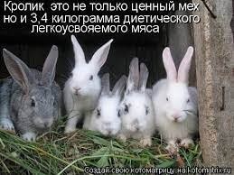 Самый кроличий пост