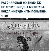 16 стен с важными "философскими" посланиями