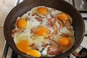 Вылупление цыплят
