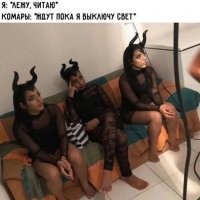 И где такие комары? Книжки там есть, или со своей приходить?