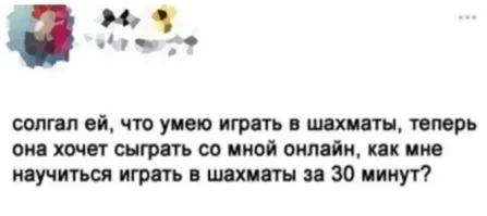 Открываешь любую игру-шахматы против компьютера, ставишь на сложный уровень. Выбираешь цвет фигур как у неё в вашей партии. Копируешь её ходы в игру, а сам повторяешь ходы за компьютером, выигрываешь всухую.