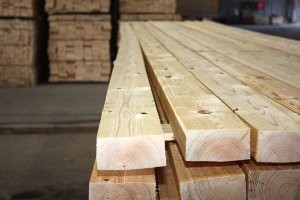 Это сучки. 
При распиле ствола вдоль мы их видим такими как на фото.
После спила ели, её мягкая сердцевина выгнила, а сучки, как более стойкие к гниению из-за большого количества в них смолы остались.