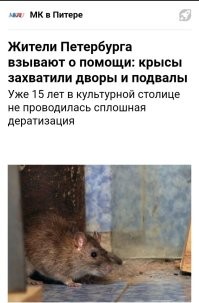 Добро пожаловать в Санкт-Петербург.