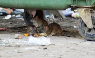 Добро пожаловать в Санкт-Петербург.