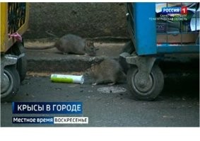 Добро пожаловать в Санкт-Петербург.