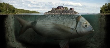 Фотограф Эрик Йоханссон