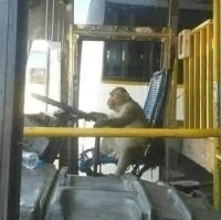 маршрутки Подмосковья
