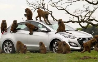 в свете нынешних реалий по заголовку акцент напрашивается , что избили потому что россиянка. а по факту не понятно. может они и китаянку бы избили, или француженку. это просто гопота. надо было сразу с места газовать как толпу увидела. лучше минус в приложении чем вот такой минусище  в итоге.