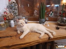 Мой первый опыт применения слэба.