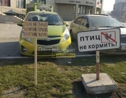 Это Новосибирск, ТЦ "Золотая Нива". Там реально много голубей, люди бывало ждут общественный транспорт, и заодно их подкармливают. Они до того привыкли к людям, что даже едят с ладошки (дочке, когда она была маленькая очень это нравилось) и садятся на тебя. А обратная сторона этого - они всё засрали, особенно здание торгового центра.