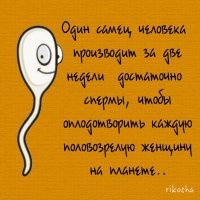 Смешные и познавательные картинки