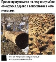 Смешные и познавательные картинки