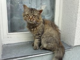 17 трогательных историй, которые докажут, что забота и любовь могут всё