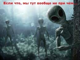 Лифт в никуда: загадка исчезновения психолога в собственном доме