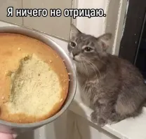 Ни о чём не жалею.