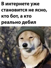 Ахахах! Ты вообще в России живёшь? Доллары?