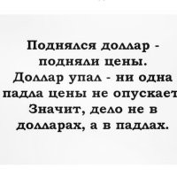 "У меня долларов нет. У меня, кстати, и рублей тоже нет": россияне отреагировали на падение доллара