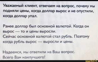 "У меня долларов нет. У меня, кстати, и рублей тоже нет": россияне отреагировали на падение доллара