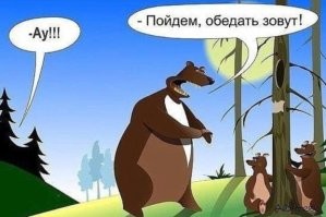 Медведь напал на назойливого туриста в национальном парке