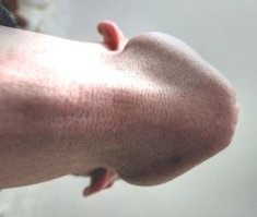 Нашли какую-то дохлую хрень - всё, это орк!
А это что?