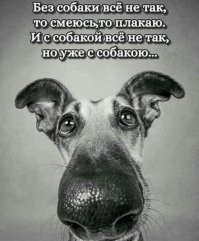 Не совсем про кота, на направление правильное
