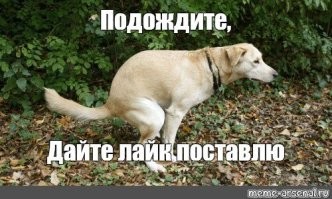 Очень поучительный пост))