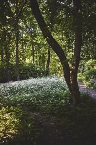 Хороший объекив. Был у меня, но мне не нравится фокусное расстояние 50 мм. Макро на него не снимают. Данное стекло рассчитано на портретную съемку. Один из примеров я приложил. Это 55мм f:2 Гелиос 44-2. Мое любимое фокусное 35мм. Есть отечественная классика Мир, но он мыльноват.  Самый любимый это Волкландер 35мм f:1.4.