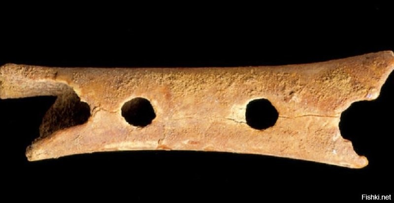 18 любопытных фактов о неандертальцах 