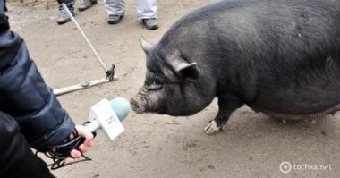 послушаем мнение хохлоэксперта