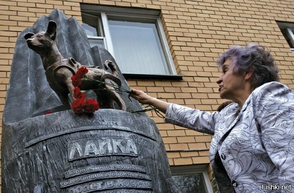 Мальчик


Памятник Барри, Париж, Франция


Памятник Грейфрайерсу Бобби, Эдинбург, Великобритания
Этот скай-терьер на протяжении четырнадцати лет – до собственной смерти в 1872 году – охранял могилу своего умершего хозяина – ночного обходчика эдинбургской полиции.
Памятник Грейфрайерсу Бобби установили еще при жизни пса, хотя до открытия он так и не дожил. Статуя, выполненная в натуральную величину, стоит перед баром Greyfriars Bobby.


Памятник кошке Таузер, Крифф, Великобритания
Еще один мемориал в Шотландии увековечивает память кошки Таузер, прославившейся рекордным количеством пойманных мышей – почти 29 тысяч за 24 года жизни. Ее "трудовой подвиг" не остался незамеченным и был внесен "Книгу рекордов Гиннесса".


На улице Малая Садовая в Санкт-Петербурге установлены две миниатюры в память о блокадных кошках, которые были завезены из Ярославской области для спасения города от крыс. Кошка Василиса расположилась на карнизе второго этажа дома №3, а кот Елисей – напротив нее, на углу дома №8.


Комментарий не нужен...


Если пешее путешествие Ломоносова в Москву заняло три недели, то коту Семену удалось вернуться из столицы домой в Мурманск лишь через шесть лет. Легенда гласит, что кот потерялся в Москве в конце 80-х и каким-то образом нашел дорогу обратно.