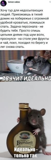 Без коньяка - отдых не полноценный.