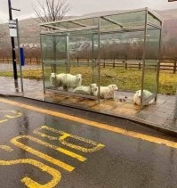 Хорошо поднас.рали на остановке...