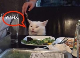 Смешные и познавательные картинки