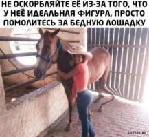 Йожика картинки. Выпуск 156