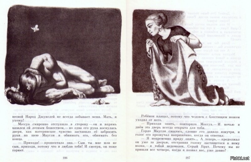 помню в детстве у меня была книга Маугли с шикарными иллюстрациями